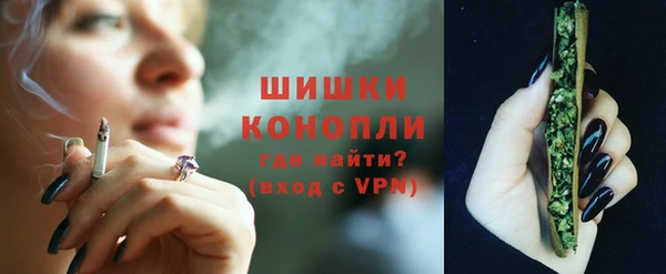 трава Карпинск