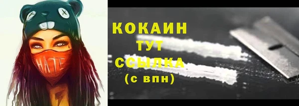трава Карпинск