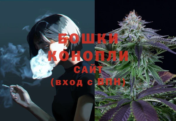 трава Карпинск