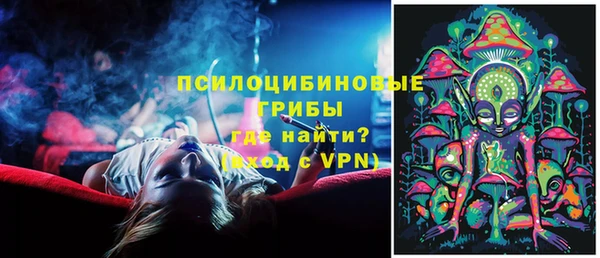 трава Карпинск