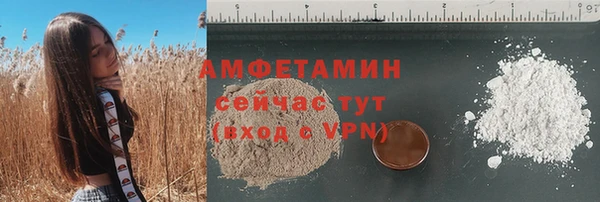 трава Карпинск