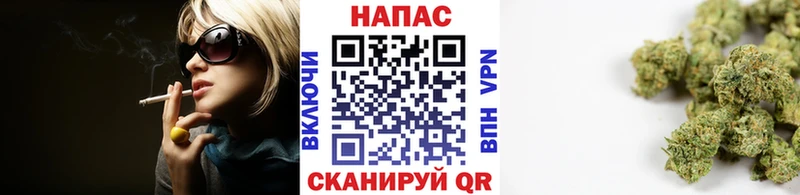 Конопля индика  Купить закладки  Ленинградская 